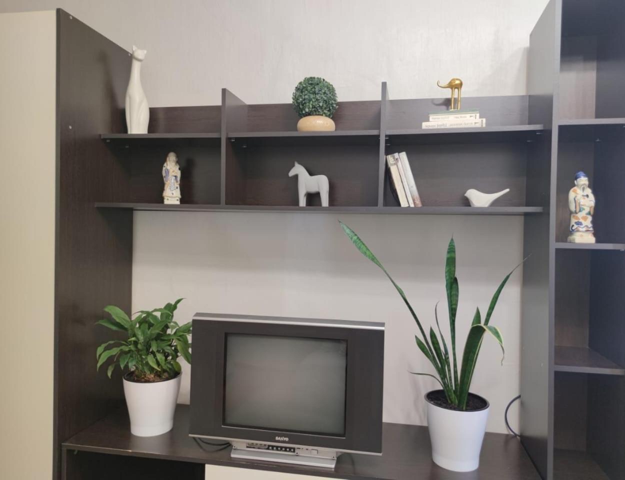 Apartment Persona *